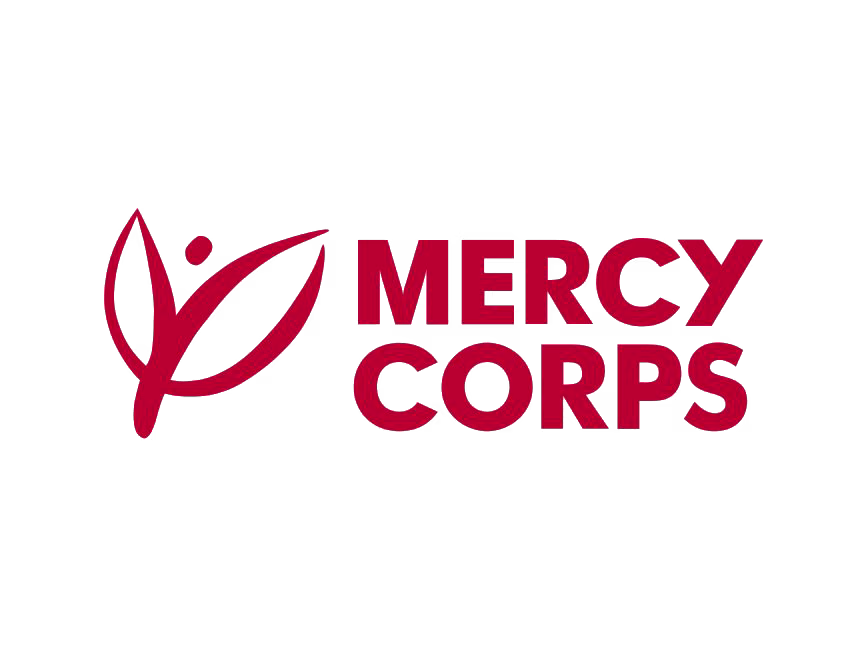 Mercy Corps - Freelancing Certificate